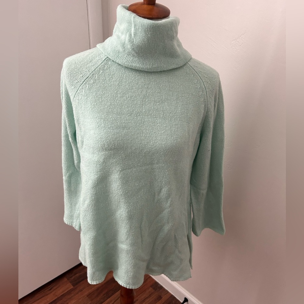 Paisley Kate Mint Green Turtleneck Sweater with Split Hem